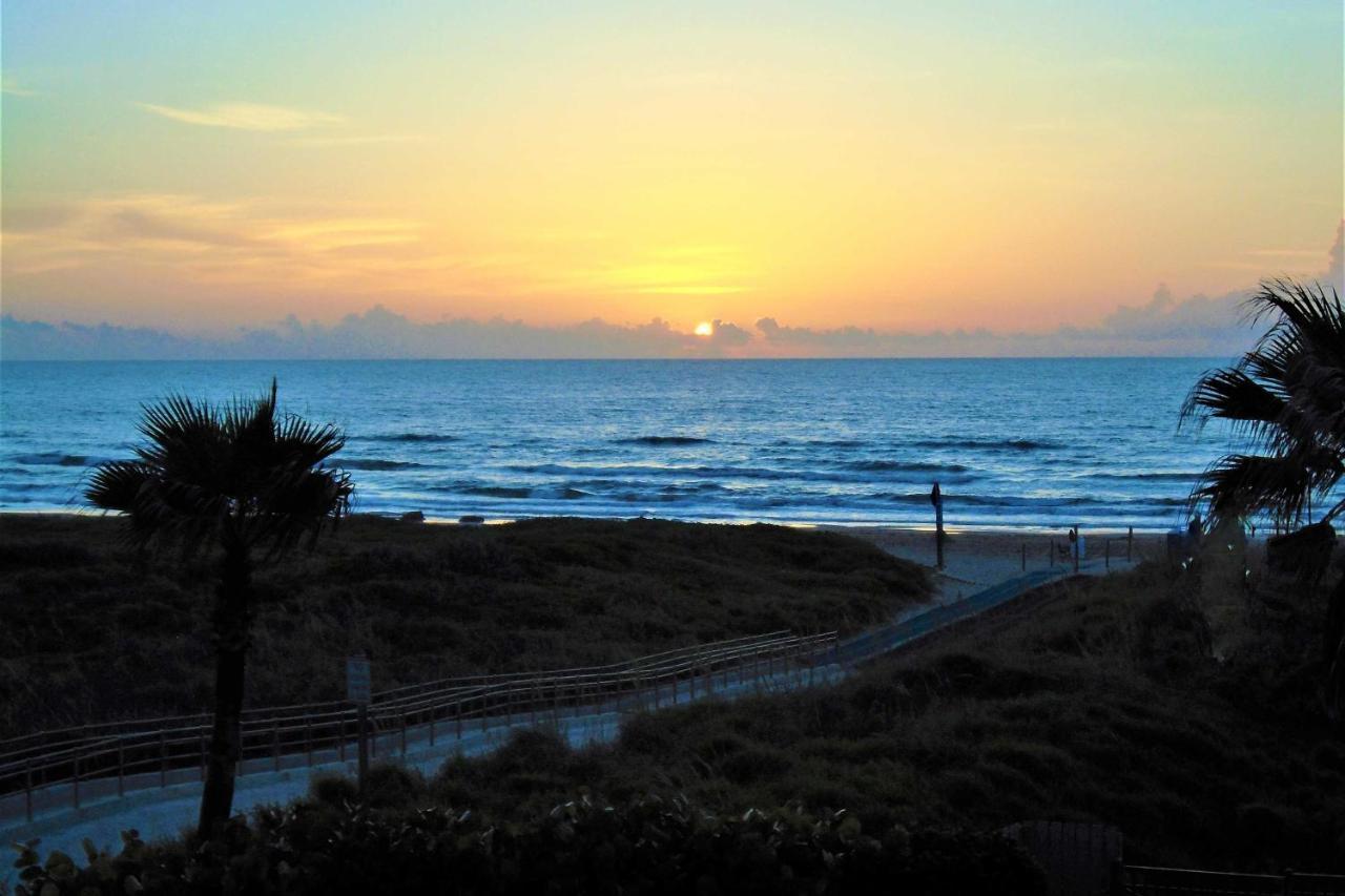 Sunny Oceanfront Condo On South Padre Island Beach 外观 照片